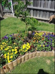 Prospect Timber & Landscape Supplies