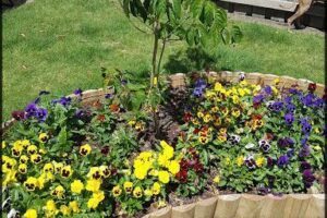 Prospect Timber & Landscape Supplies
