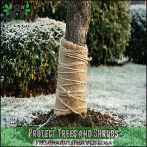 Protect Trees and Shrubs