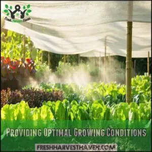 Providing Optimal Growing Conditions