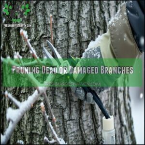 Pruning Dead or Damaged Branches