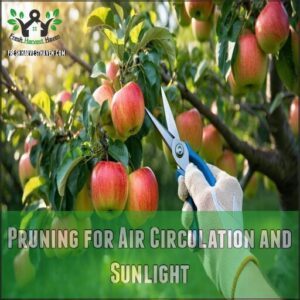 Pruning for Air Circulation and Sunlight