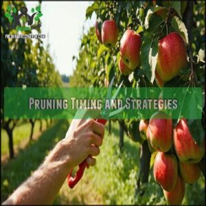 Pruning Timing and Strategies
