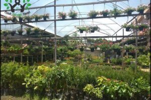 Recife Garden Center