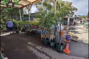 Recycling Centre Balcatta
