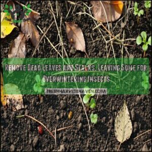 Remove Dead Leaves and Stalks, Leaving Some for Overwintering Insects