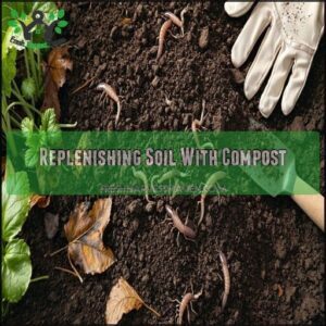 Replenishing Soil With Compost