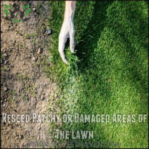 Reseed Patchy or Damaged Areas of The Lawn