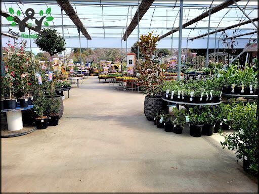 Rodney's Plants Plus