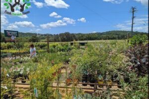 Rosemount Nursery