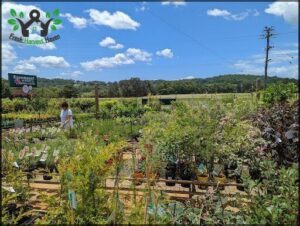 Rosemount Nursery