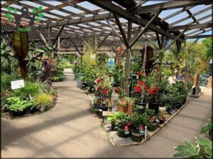 San Lorenzo Garden Center