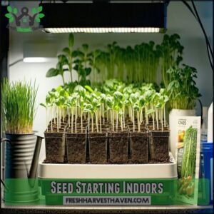 Seed Starting Indoors