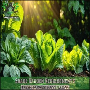 Shade Garden Requirements