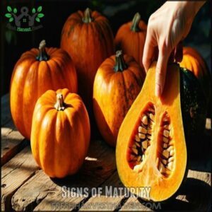 Signs of Maturity