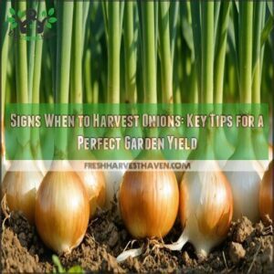 signs when to harvest onions