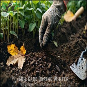 Soil Care During Winter