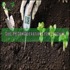 Soil PH Considerations for Zucchini