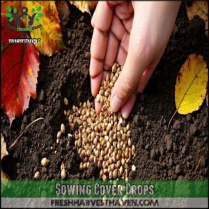 Sowing Cover Crops