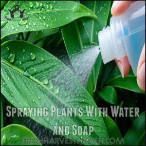 Spraying Plants With Water and Soap