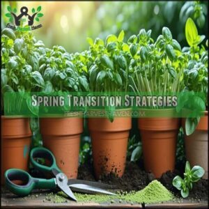 Spring Transition Strategies