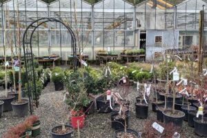 Squak Mt Greenhouses & Nursery