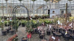 Squak Mt Greenhouses & Nursery