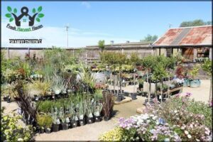 Tas Mulch