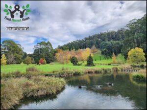 Tasmanian Arboretum