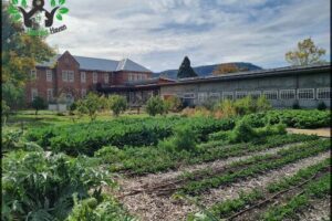 The Agrarian Kitchen
