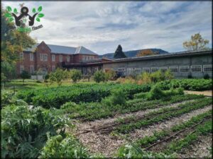 The Agrarian Kitchen