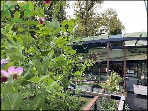 The Diggers Club Garden Shop - Adelaide
