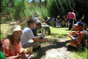 The Food Forest