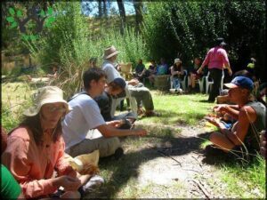 The Food Forest