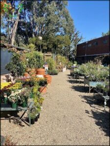 The Garden Botanicus Perfectus