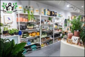 The Green Vine Plants