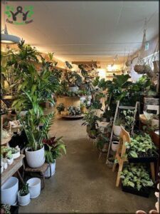 The Plant Bunker