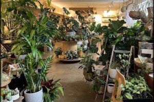 The Plant Bunker