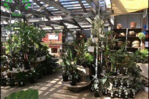 The Plant Shack