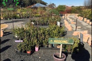 The Secret Garden Community Hub