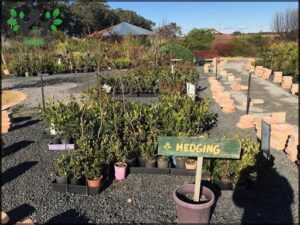 The Secret Garden Community Hub
