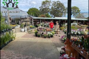 Theo's Garden Centre