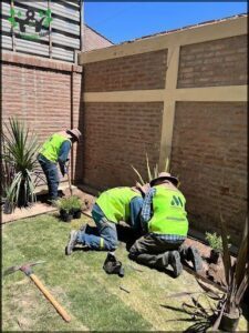 Three men in yellow vests are working together to plant a tree.