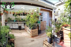 TIENDA DE CULTIVOS JARDÍN Y ARTE (CARO)