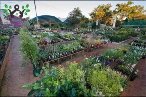 Timbara Garden Centre