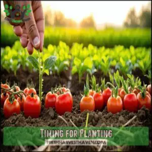 Timing for Planting
