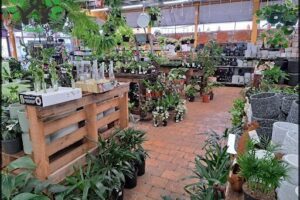 Tim's Garden Centre