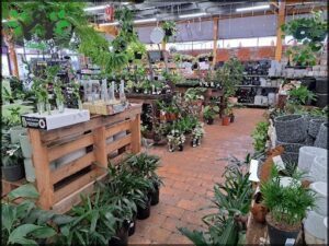 Tim's Garden Centre