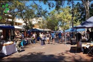 Todd Mall Markets