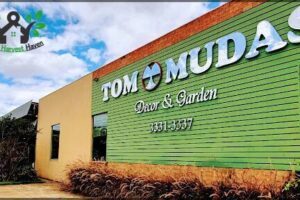 Tom Mudas